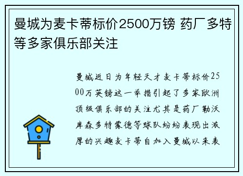 曼城为麦卡蒂标价2500万镑 药厂多特等多家俱乐部关注